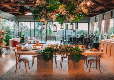 Costela-de-adão na decoração: como usar?